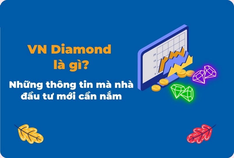 Giới thiệu về VN Diamond