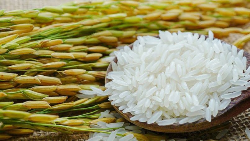 Giá lúa gạo hôm nay cập nhật mới nhất