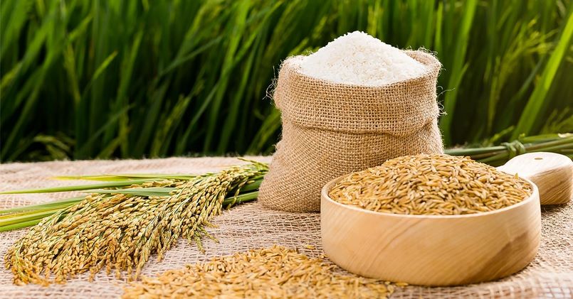 Dự báo tình hình giá lúa gạo trong thời gian tới 