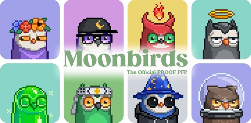 Moonbirds là gì? Những điểm gì làm Moonbirds trở nên nổi bật